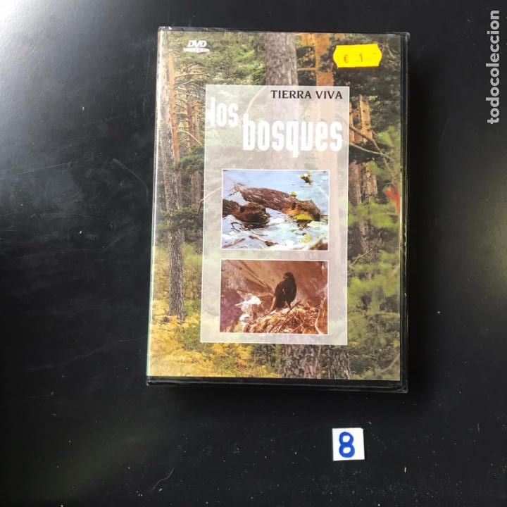 Cine: DvD - Bosques - Foto 1