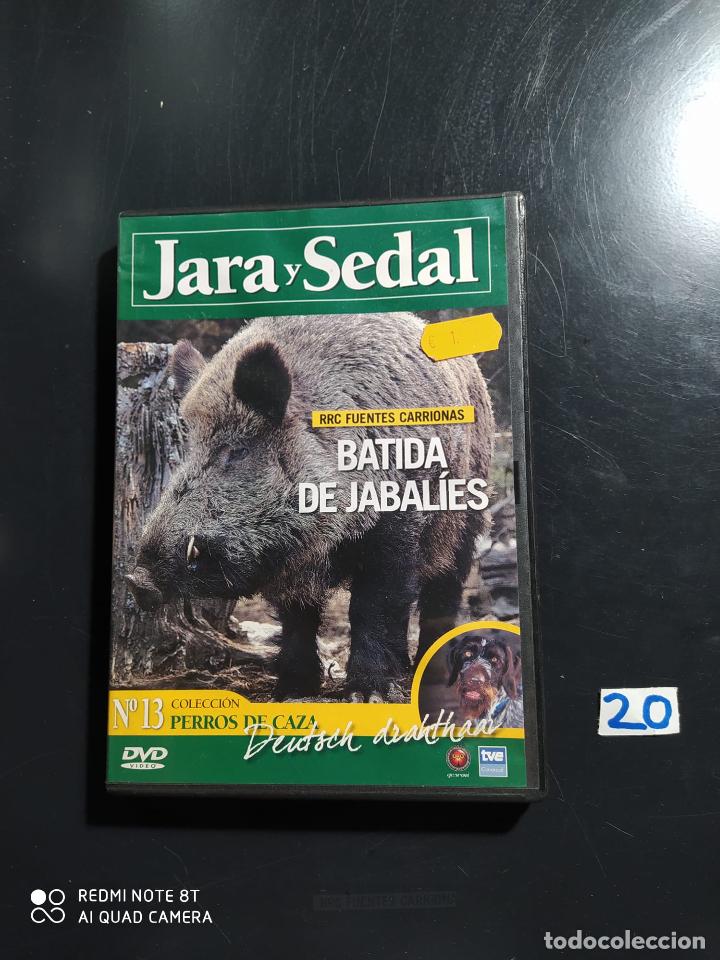 Cine: Batida de jabal&iacute;es - Foto 1