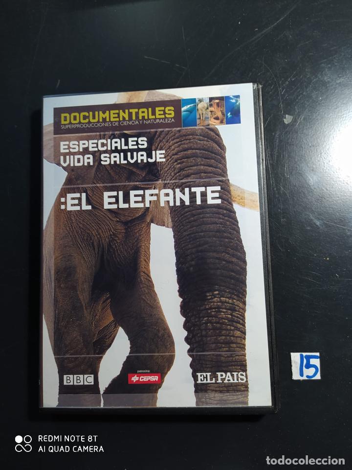 Cine: El elefante - Foto 1