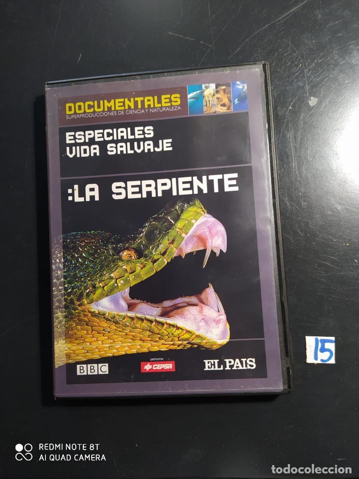 Cine: La serpiente - Foto 1