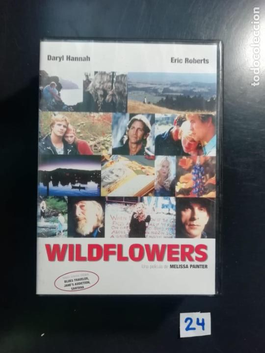 Cine: Wildflowers - Foto 1