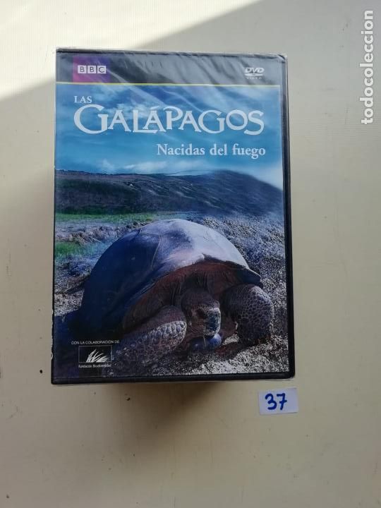 Cine: Gal&aacute;pagos - Foto 1