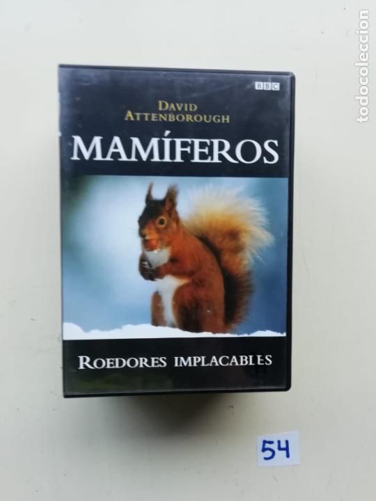 Cine: Mamiferos - Foto 1