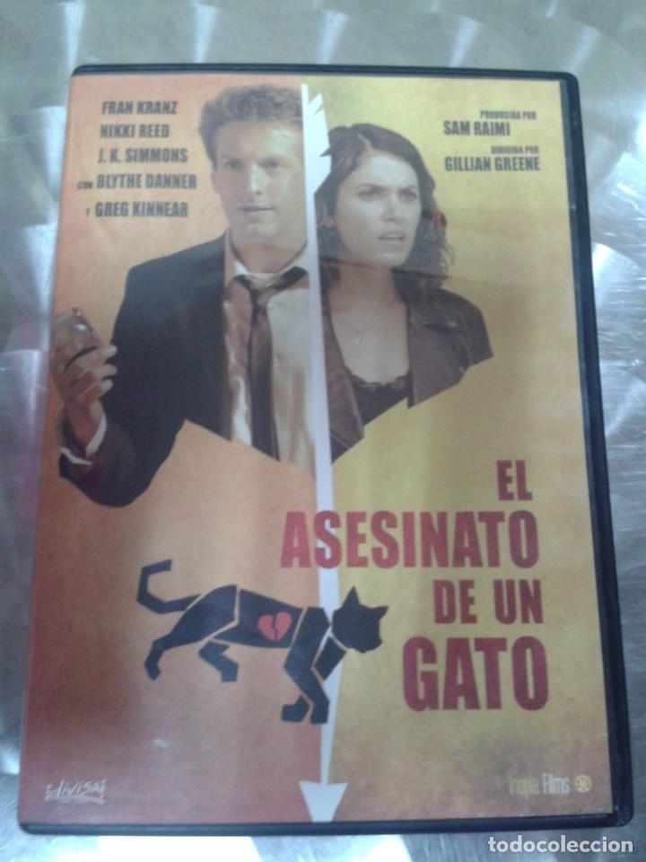 Cin&eacute;ma: EL ASESINATO DE UN GATO. DVD
