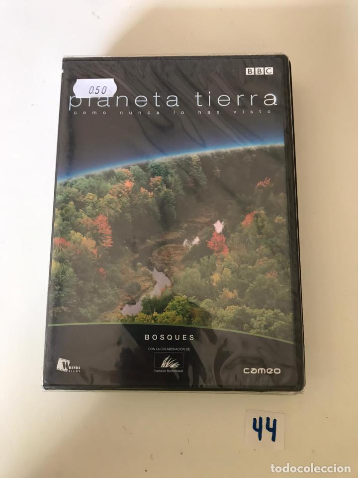 Cine: Planeta Tierra - Foto 1