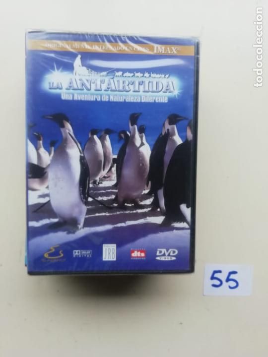 Cine: La Antartida - Foto 1