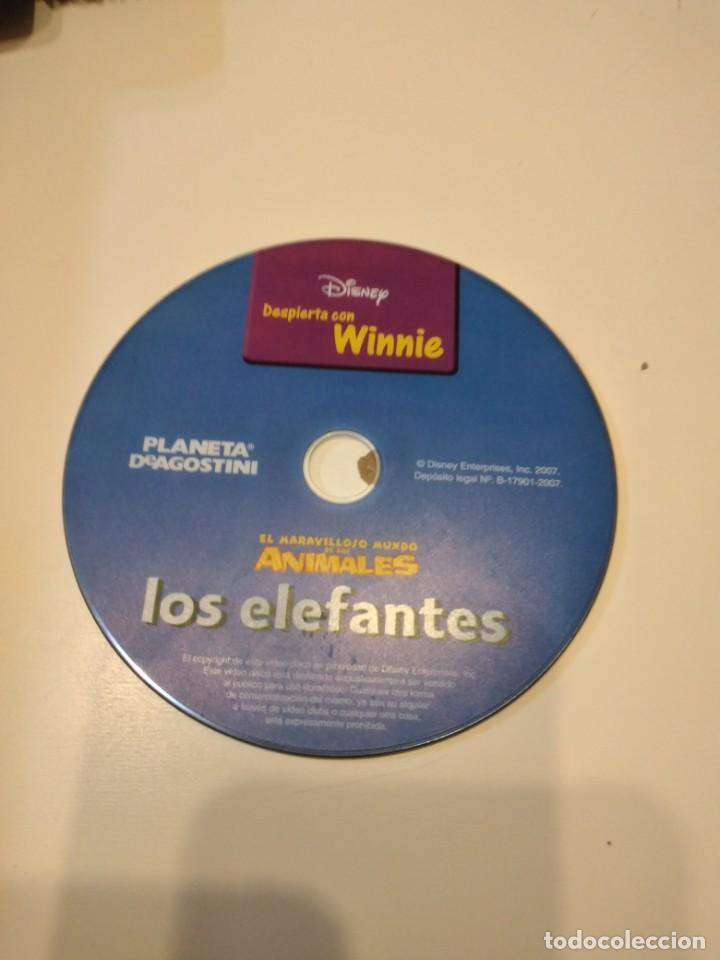 Cine: C-3E78AB DVD CINE SIN CARATULA SOLO DVD EL MARAVILLOSOS MUNDO DE LOS ANIMALES LOS ELEFANTES