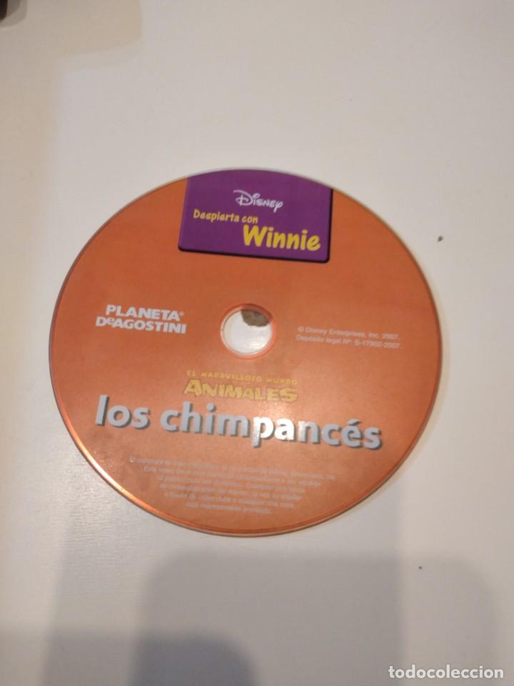 Cine: C-3E78AB DVD CINE SIN CARATULA SOLO DVD EL MARAVILLOSOS MUNDO DE LOS ANIMALES LOS CHIMPANCES