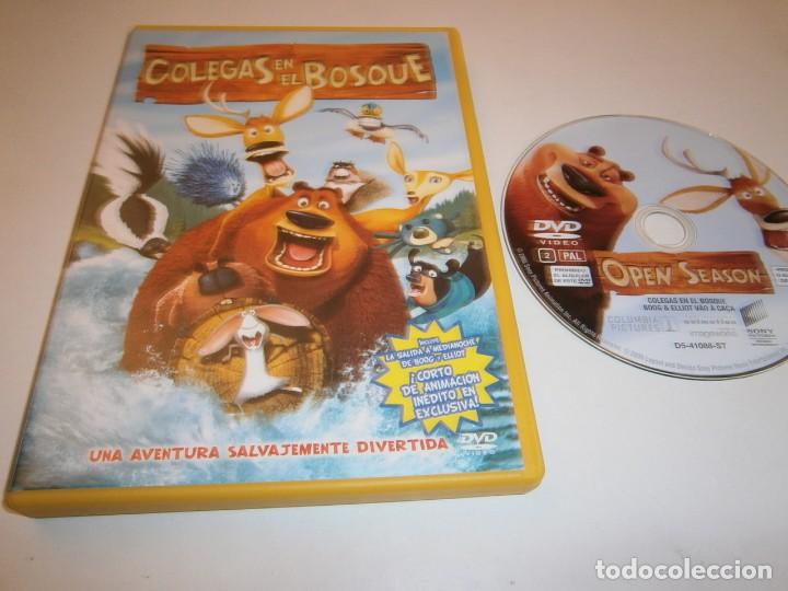 Cine: COLEGAS EN EL BOSQUE DVD - Foto 1