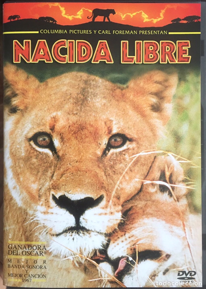 Cine: Nacida Libre DVD - Foto 1