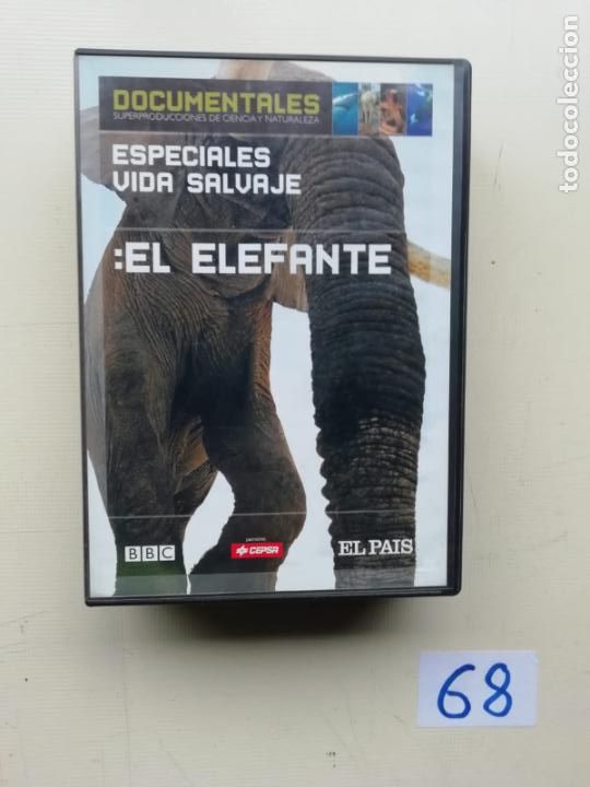 Cine: El Elefante - Foto 1