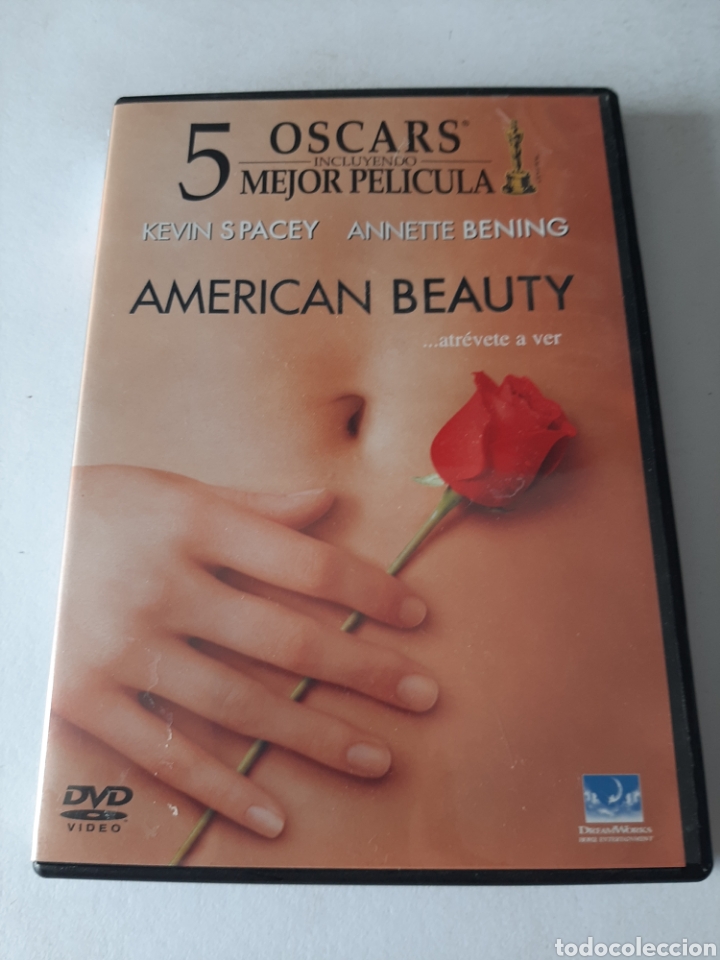 Cin&eacute;ma: S440 American Beauty - DVD SEGUNDAMANO