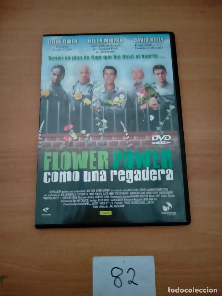 Kino: Flower Power