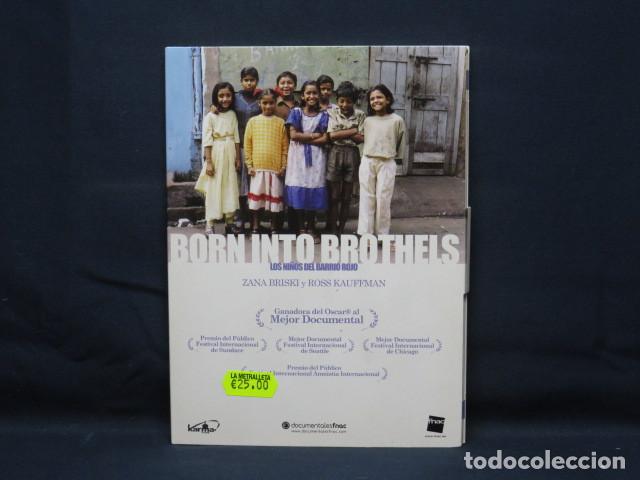 Cinema: BORN INTO BROTHELS - DVD