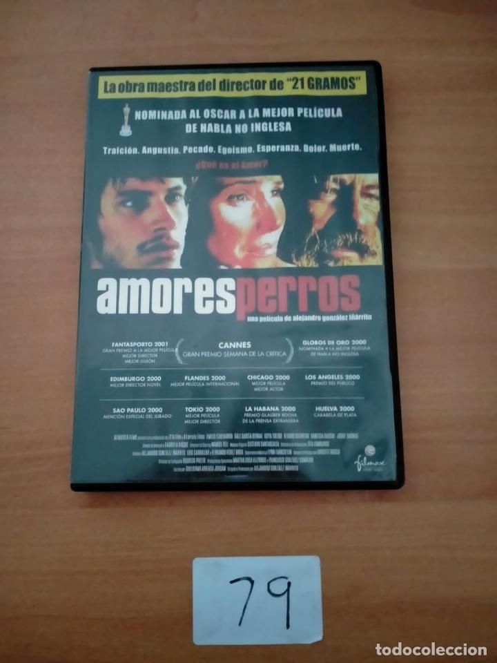 Amores Perros