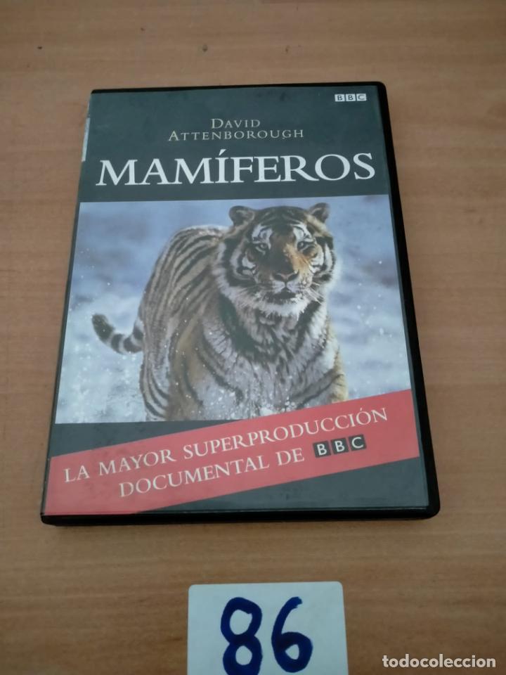 Cine: Mamiferos - Foto 1
