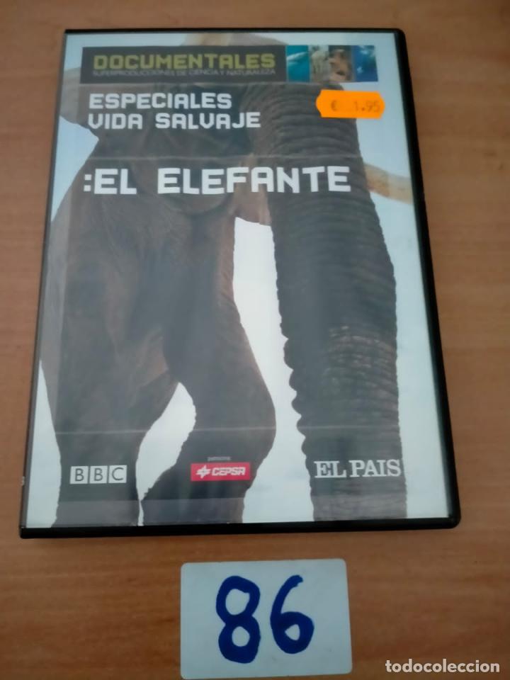 Cine: El Elefante - Foto 1