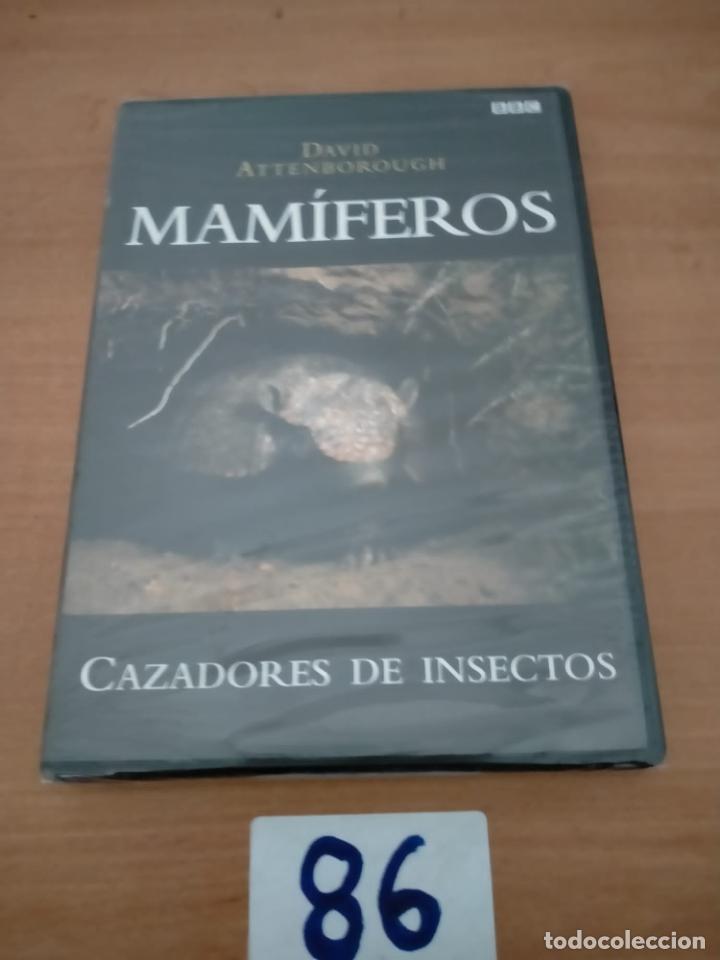 Cine: Mamiferos - Foto 1