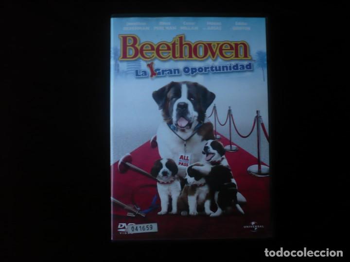 Cine: beethoven la gran oportunidad - dvd casi como nuevo