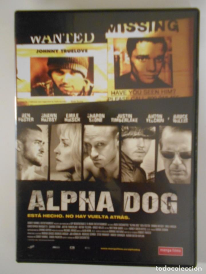 Kino: ALPHA DOG. DVD DE LA PELICULA.
