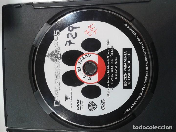 Kino: COMO PERROS Y GATOS. LA REVANCHA DE KITTY GALORE