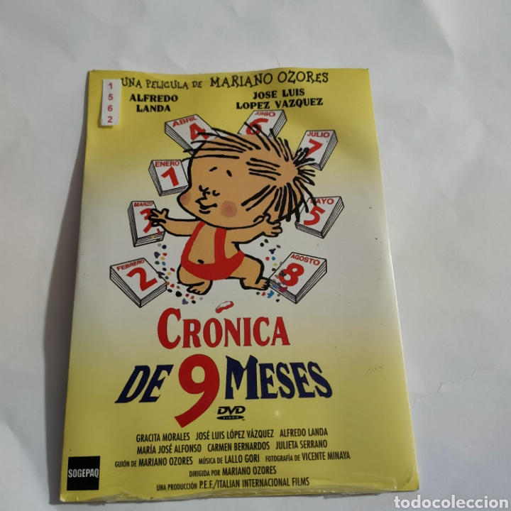 Cine: CTN1562 cr&oacute;nica de 9 meses DVD EDICION CARTON SEGUNDAMANO