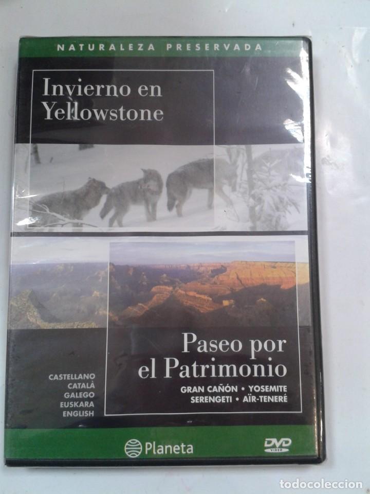 Kino: PASEO POR EL PATRIMONIO N&ordm; 3 INVIERNO EN YELLOWSTONE. PRECINTADO.