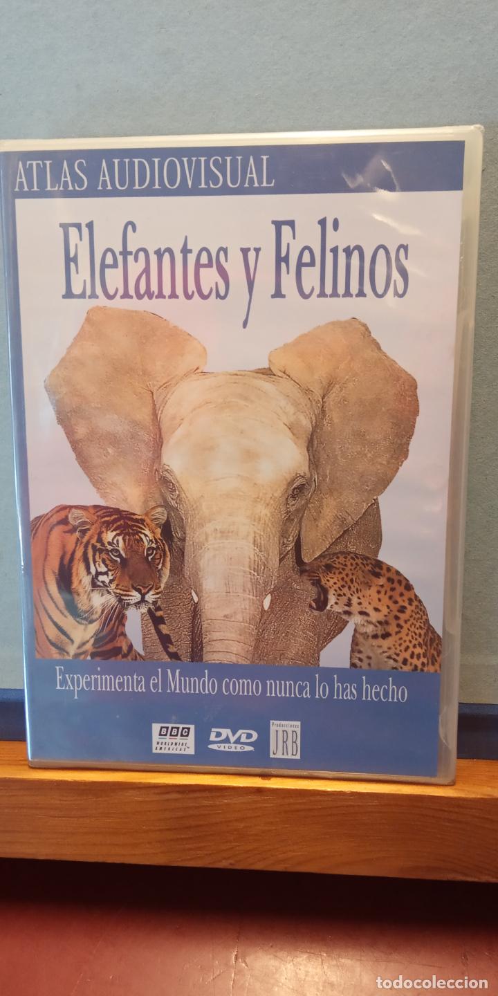 Cine: ATLAS AUDIOVISUAL. ELEFANTES Y FELINOS. EXPERIMENTA EL MUNDO COMO NUNCA LO HAS HECHO. DVD.