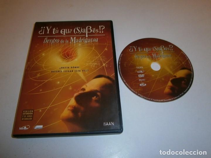 Cine: Y TU QUE SABES ? DENTRO DE LA MADRIGUERA DVD