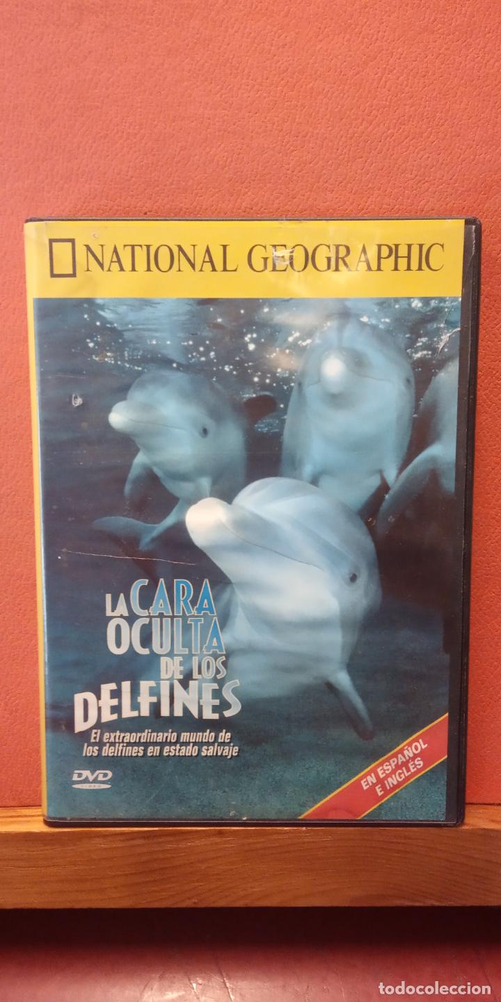 Cinema: NATIONAL GEOGRAPHIC. DVD. LA CARA OCULTA DE EL EXTRAORDINARIO MUNDO DE LOS DELFINES EN ESTADO SALVAJ