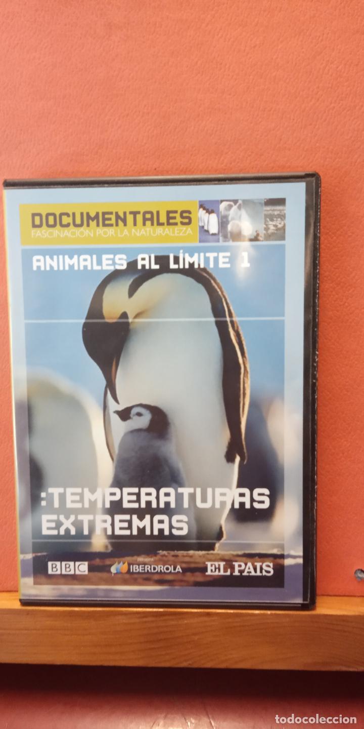 Cinema: ANIMALES AL LIMITE 1. TEMPERATURAS EXTREMAS. DVD.