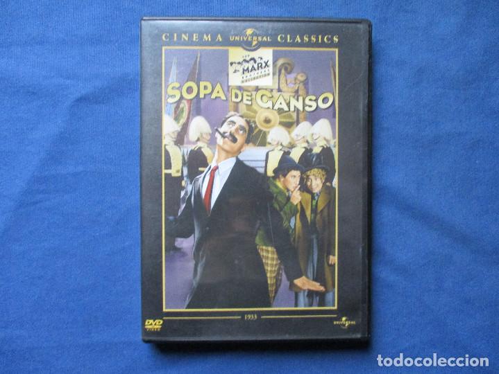 Cine: DVD - SOPA DE GANSO - Foto 1