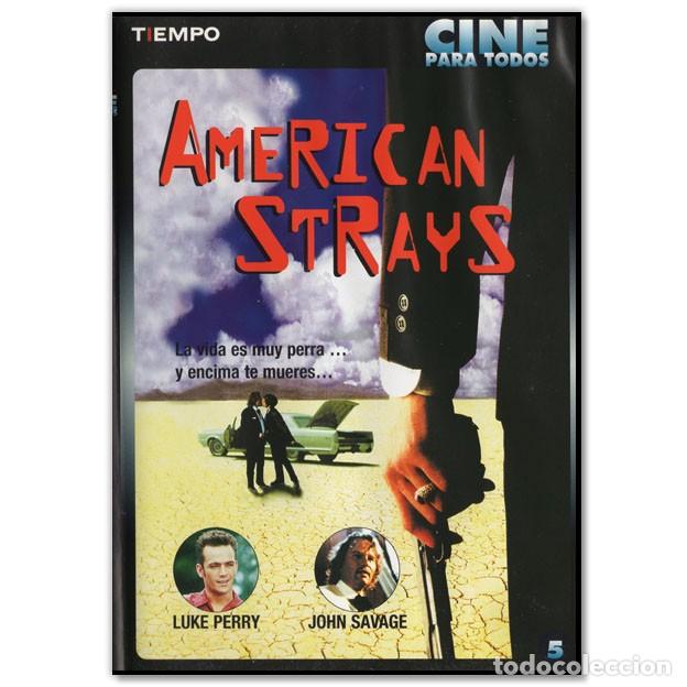 Cinema: AMERICAN STRAYS DVD