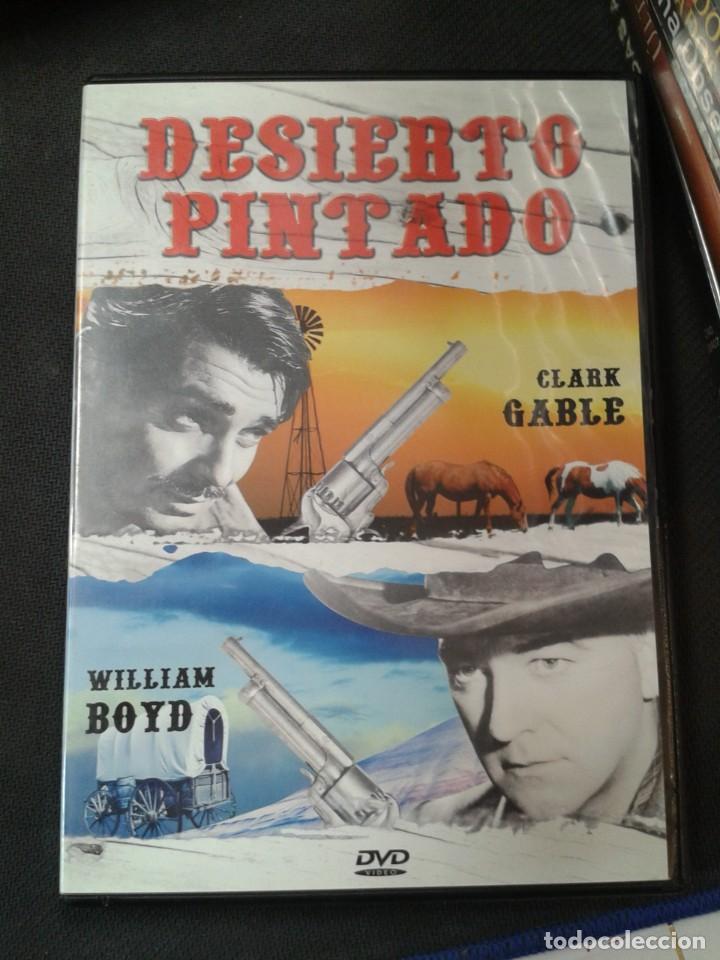 Cine: DESIERTO PINTADO. DVD.