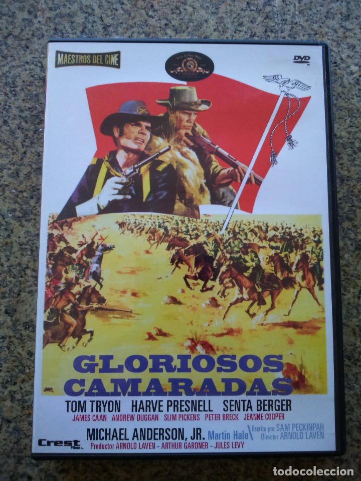 Kino: DVD -- GLORIOSOS CAMARADAS -- PRECINTADA --