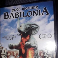 Cine: DVD - GOOD MORNING BABILONIA, DE PAOLO Y VITTORIO TAVIANI (1987). Lote 252645730