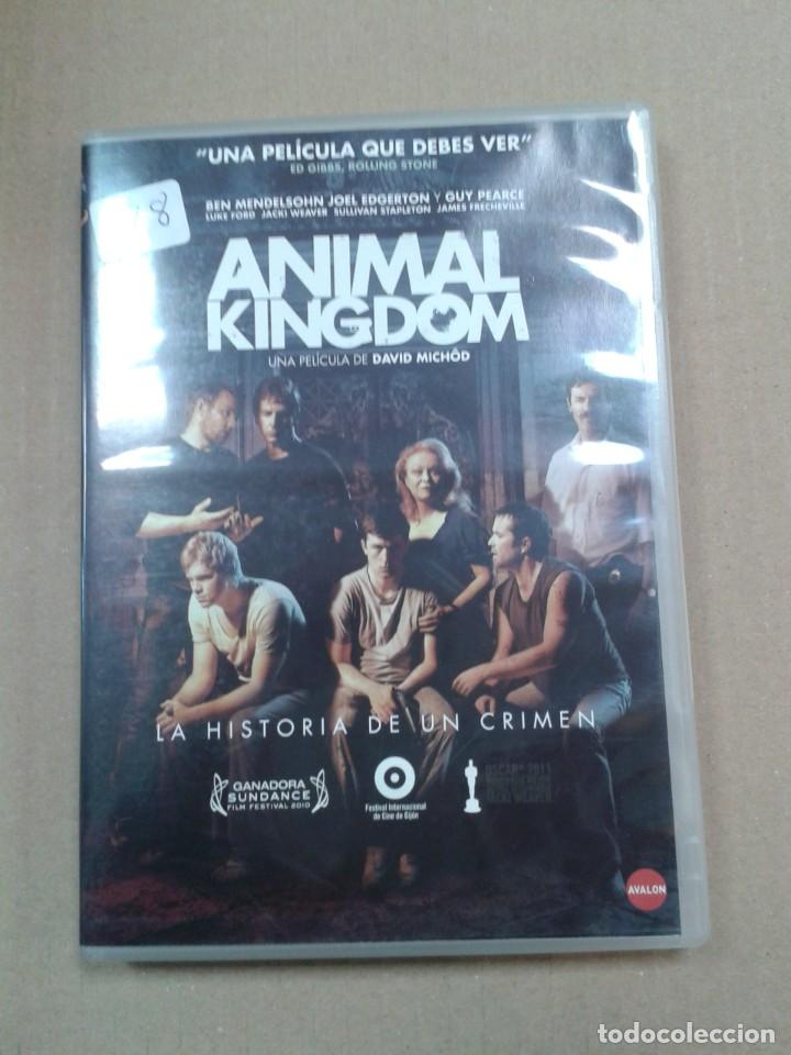 Cinema: ANIMAL KINGDOM. DVD