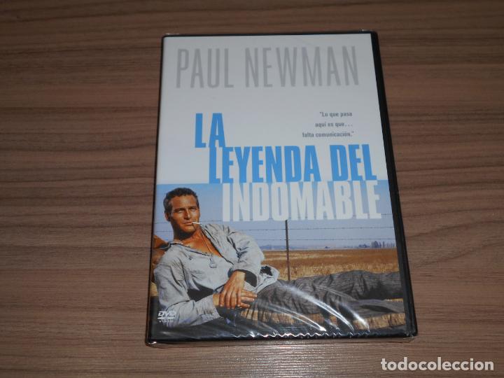 Cinema: La LEYENDA del INDOMABLE DVD Paul Newman WARNER Nueva PRECINTADA
