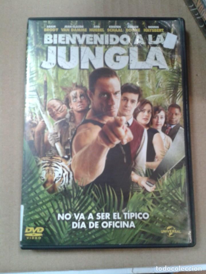 Cine: BIENVENIDO A LA JUNGLA. ADAM BRODY. DVD.
