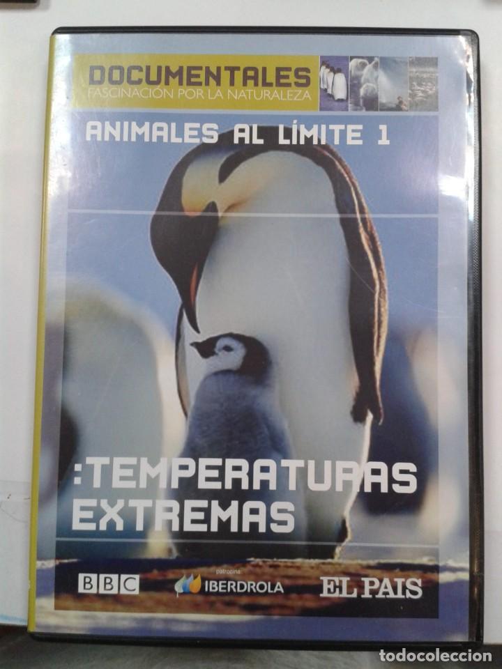 Cinema: ANIMALES AL LIMITE 1: TEMPERATURAS EXTREMAS. DVD