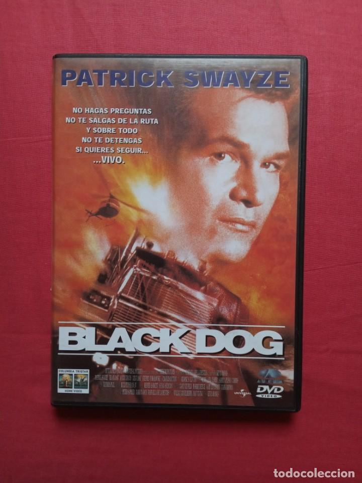 Kino: BLACK DOG
