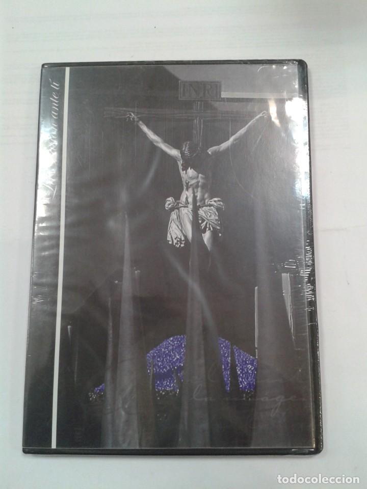 Cinema: LA PASION ANTE TI.VOLUMEN 5. PRECINTADO