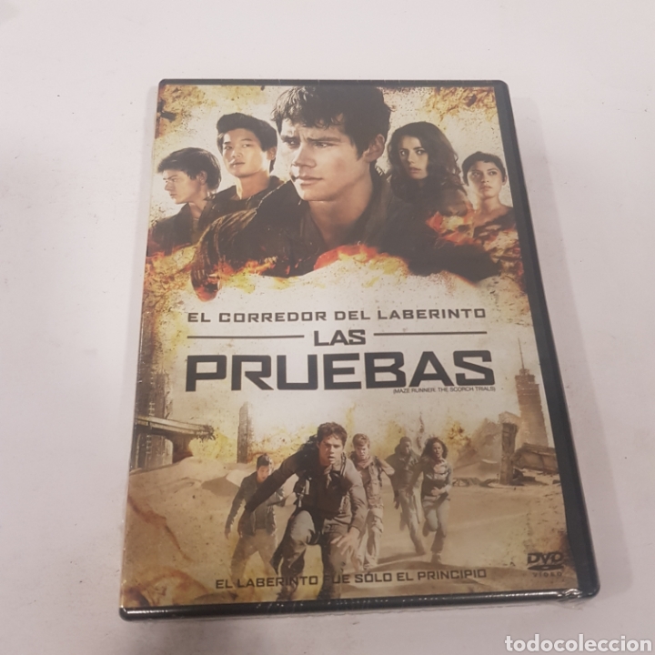 Cinema: ND165 el corredor del laberinto las pruebas -dvd NUEVO PRECINTADO