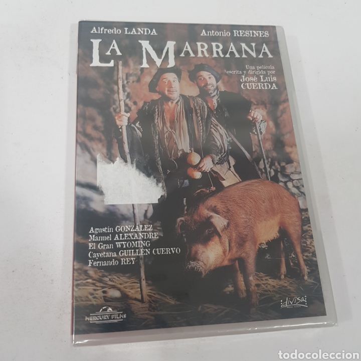 Cinema: ND184 la marrana -dvd NUEVO PRECINTADO