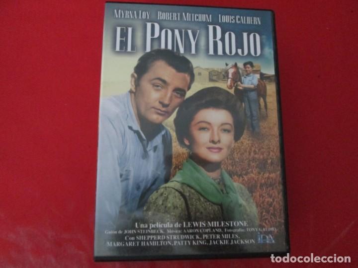 Cine: EL PONY ROJO - Foto 1
