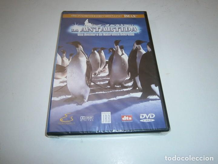 Kino: LA ANTARTIDA UNA ANVENTURA DE NATURALEZA RAZONABLE DVD IMAX NUEVO PRECINTADO