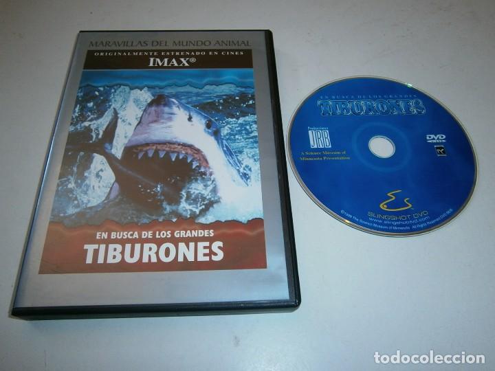 Kino: EN BUSCA DE LOS TIBURONES DVD IMAX