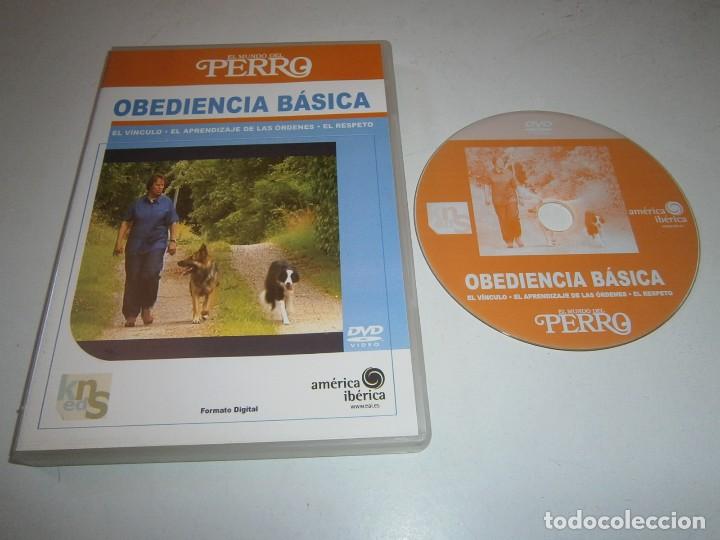 Cin&eacute;ma: OBEDIENCIA BASICA EL MUNDO DEL PERRO DVD