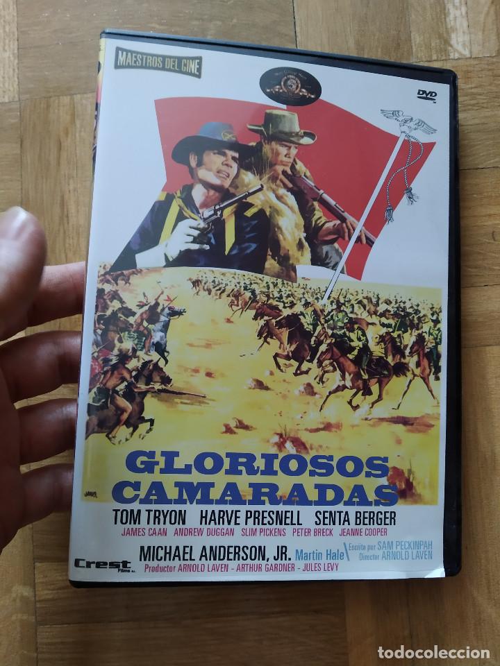 Cine: PELICULA DVD GLORIOSOS CAMARADAS TOM TRYON HARVE PRESNELL SENTA BERGER