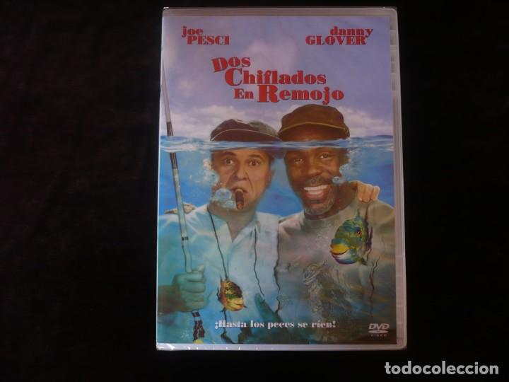 Cine: dos chiflados en remojo - dvd nuevo precintado